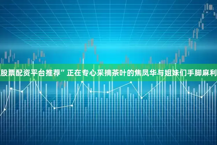股票配资平台推荐”正在专心采摘茶叶的焦凤华与姐妹们手脚麻利